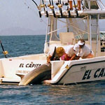 Baja Fishing Fun, Tours, Sportfishing Charters link